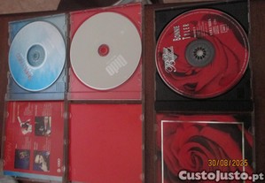 imagem_3