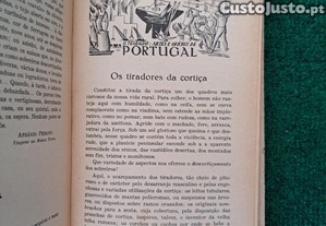 imagem_7