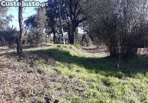 Terreno Agrícola em Monchique