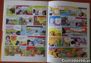 imagem_7