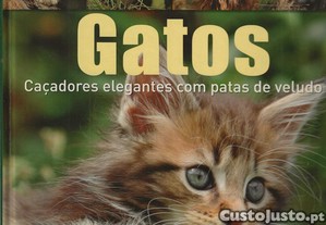 Gatos: Caadores Elegantes Com Patas De Veludo