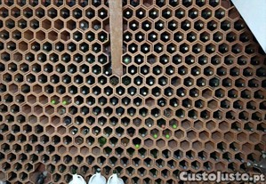 Parede / Módulos de Tijolo Garrafeira em Cerâmica