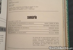 imagem_7