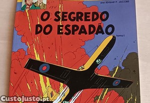 imagem_1
