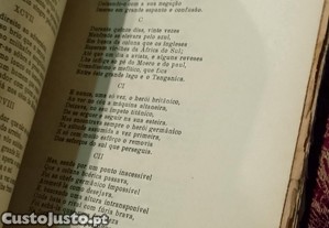 imagem_7