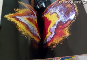 imagem_6