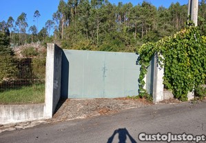 imagem_6