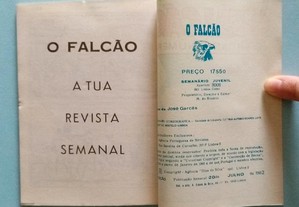 imagem_7
