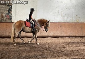 imagem_7