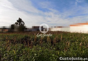 imagem_5