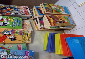 imagem_1