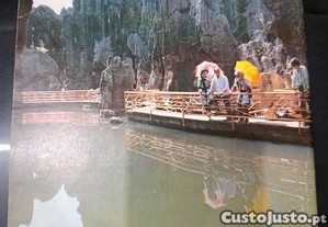 imagem_8