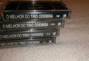 imagem_8