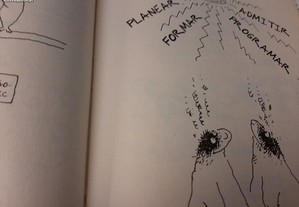 imagem_8