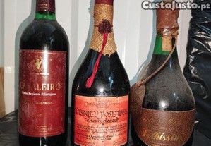 imagem_5