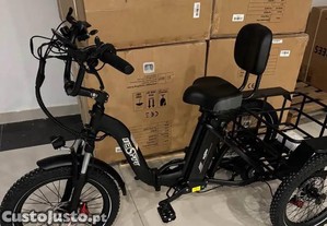 Bicicleta triciclo eltrica