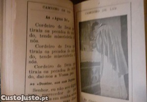 imagem_3