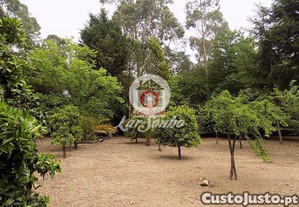 imagem_14