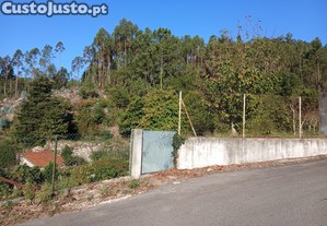 imagem_7