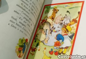 imagem_11