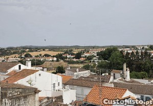 imagem_22