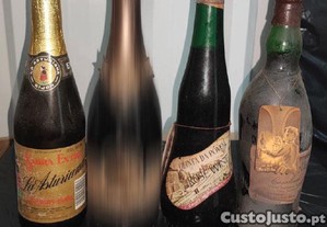 imagem_7