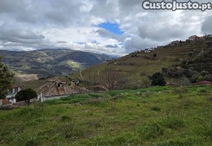 imagem_15