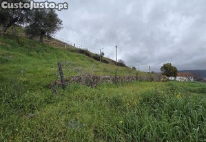 imagem_11
