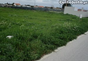 imagem_7