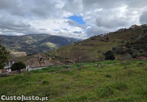 imagem_6