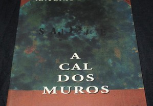 Livro A Cal dos Muros António Dacosta