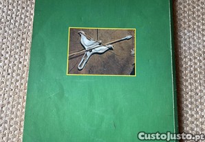 imagem_6