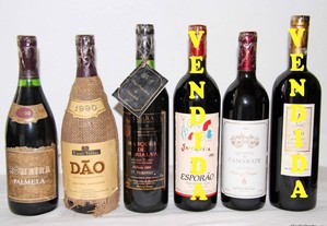 Vinhos tintos de 1990 (com 34 anos)