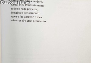 imagem_8