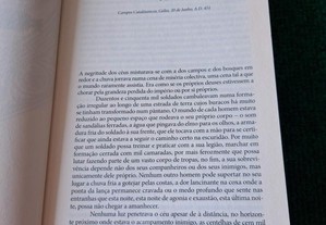 imagem_6