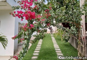 imagem_10