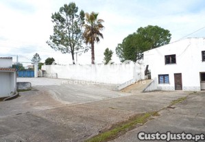 imagem_20