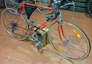 Bicicleta Vilar