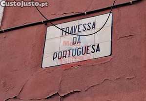 imagem_21