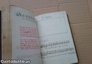 imagem_5