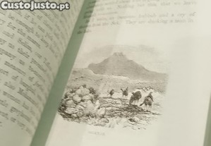imagem_4