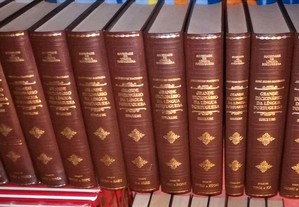 Grande Dicionário da Língua Portuguesa 13 volumes