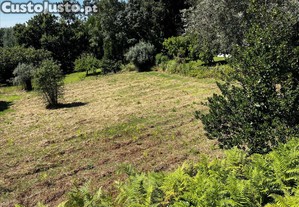 Terreno para - Arrifana, Vila Nova de Poiares