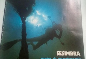 Revista Mergulhar-A Descoberta do Mar