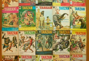 Grande Lote Tarzan