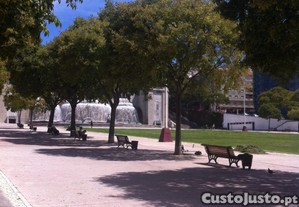 imagem_6