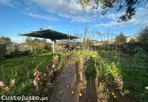 Terreno Urbano