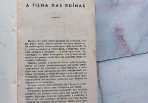 imagem_8