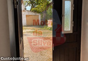 imagem_11