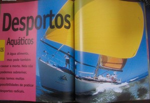 imagem_3